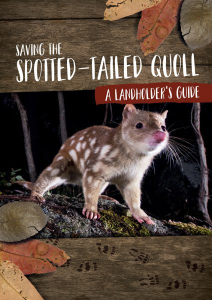 Wildlife Queensland Launches New Guide to Help Save Endangered Quoll