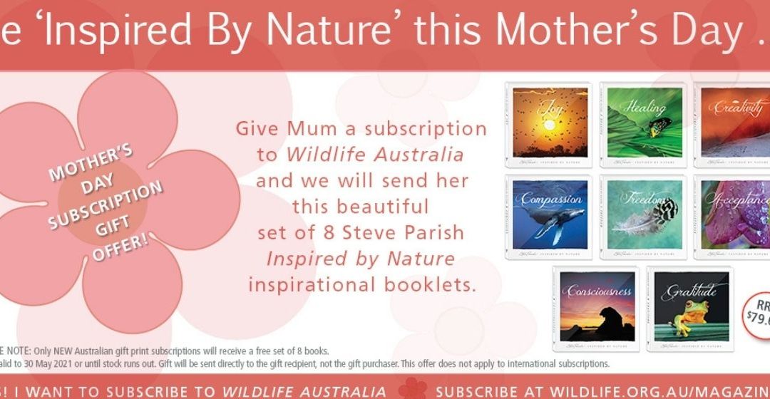 Wildlife Australia Mother’s Day 2021 Gift Subscription Offer