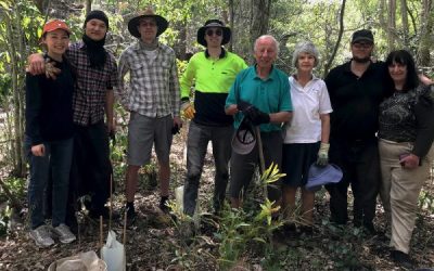 Volunteers Needed to Plant Trees to Help Wildlife in the Scenic Rim