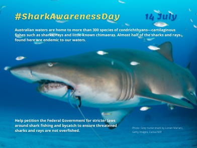 Be Shark Aware and #GiveFlakeaBreak