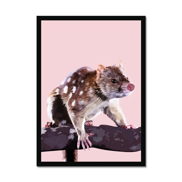Blueberry Leopard quoll