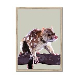 Blueberry Leopard quoll