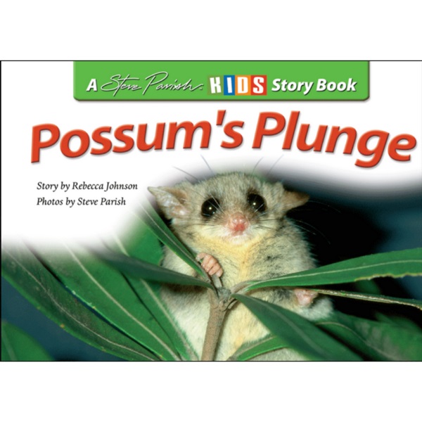 Possum's Plunge