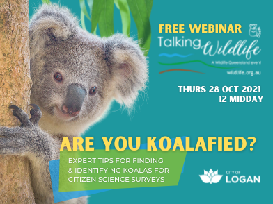 Wildlife Queensland and Logan City Council present: Are You Koalafied?