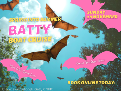 November 2021 ‘Spring into Summer’ Batty Boat Cruise