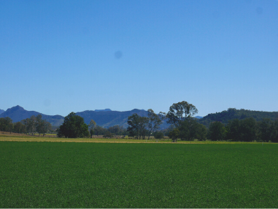 A Ripple of Community Support on the Scenic Rim