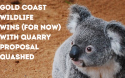 Don’t Crush Our Environment – A Win for Gold Coast Wildlife and Residents