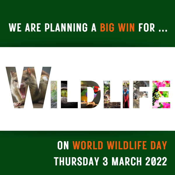 Will you go ‘all in’ with us this World Wildlife Day?