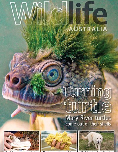 Wildlife Australia Spring 2021