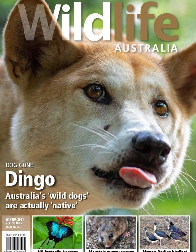Wildlife Australia Winter 2021