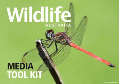 Wildlife Australia Media Tool Kit