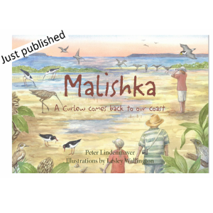 Malishka: A curlew returns to our coast