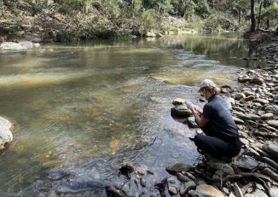 Greater Brisbane Platypus eDNA Surveys Project