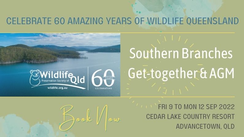 Wildlife Queensland 60 Years, Southern Branches Get Together & AGM 2022