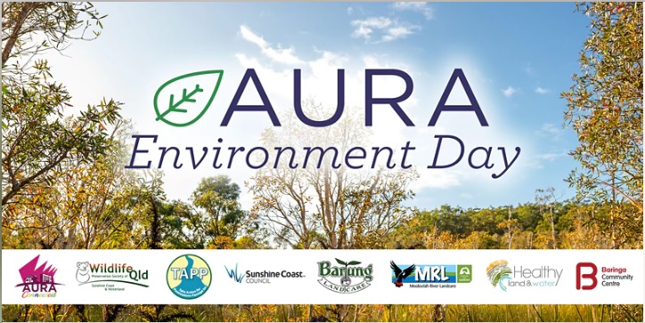 Aura Environment Day